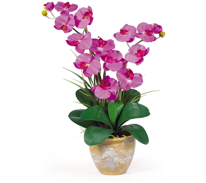 25" Double Stem Phalaenopsis by Nearly Natural — View 15