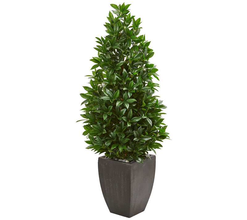56" Bay Leaf Cone Topiary in Black Planter by Nearly Natural — Main view