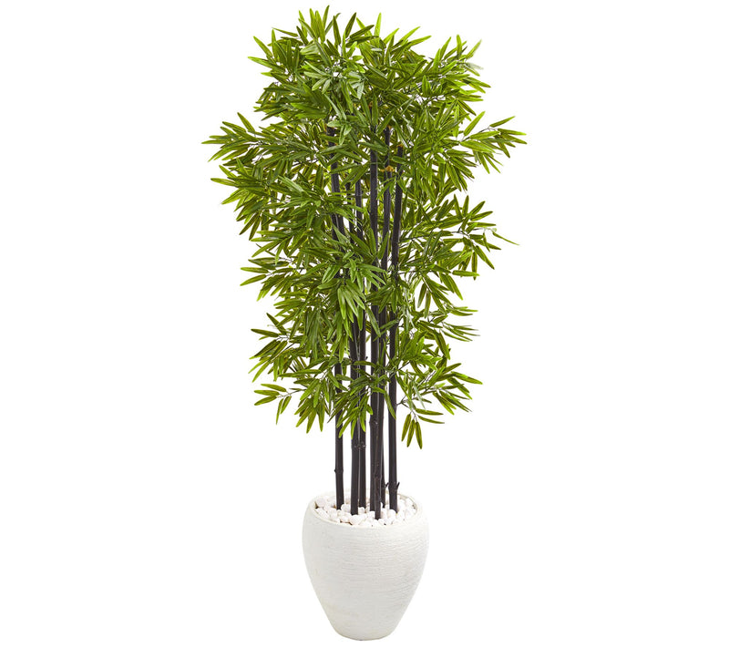 5' Bamboo Tree in White Planter by Nearly Natural — Main view