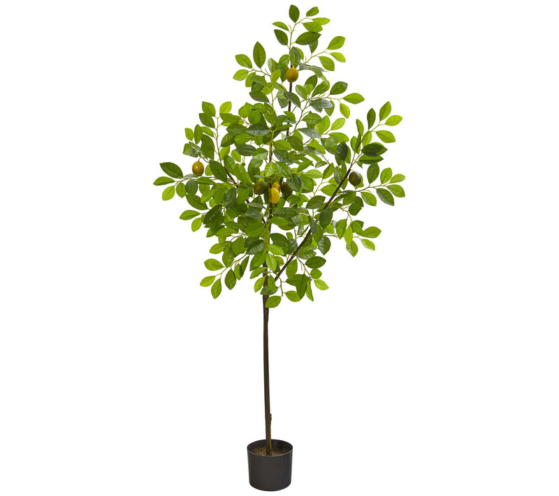 61" Lemon Artificial Tree By Nearly Natural — Main view