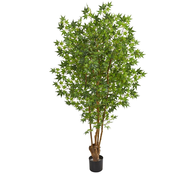 6' Maple Artificial Tree by Nearly Natural — Main view