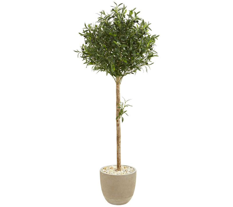 5' Olive Topiary in Sand Stone Planter by Nearly Natural — Main view