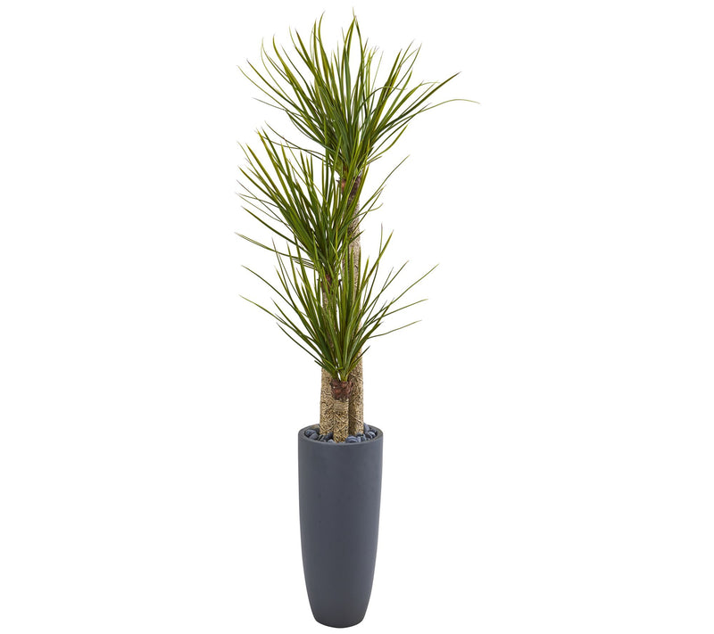 6' Yucca Tree in Bullet Planter by Nearly Natural — Main view