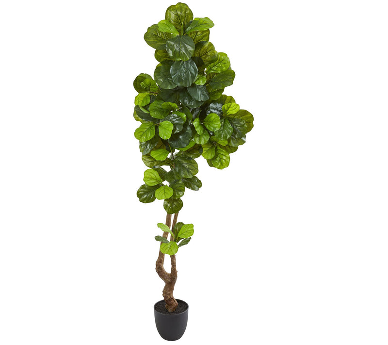 78" Fiddle Leaf Artificial Tree by Nearly Natural — Main view