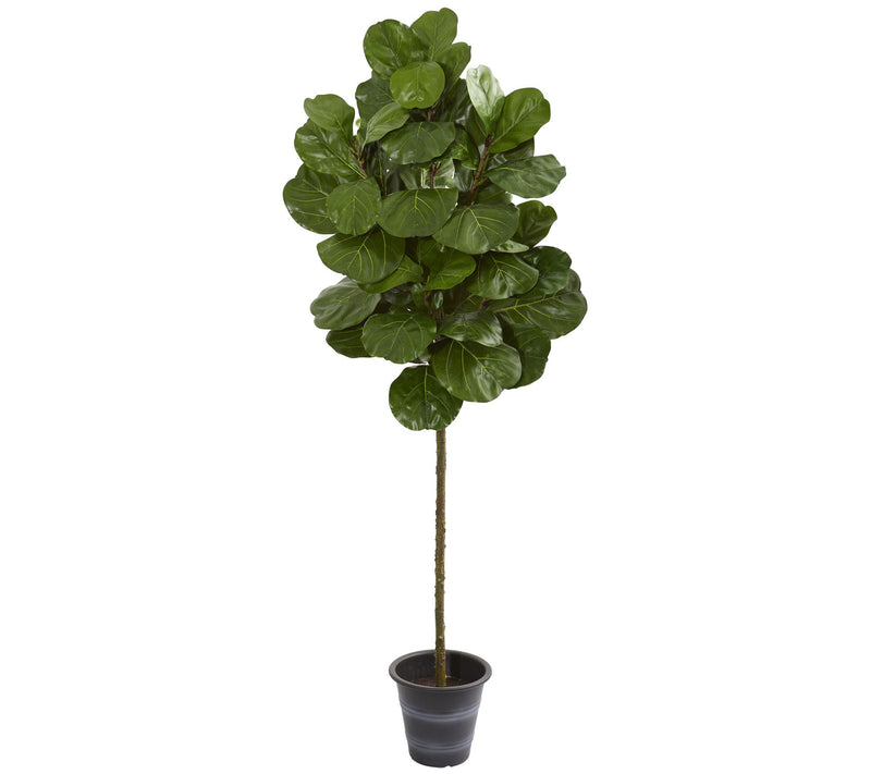 6.5' Fiddle Leaf Tree With Planter by Nearly Natural — Main view