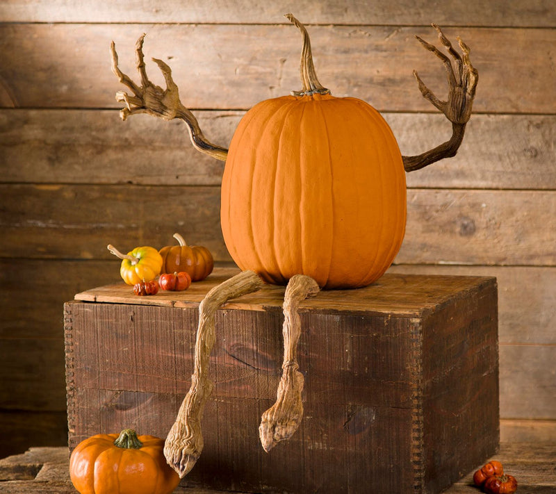 Evergreen Posable Pumpkin Vine Arms and Legs Set — Main view