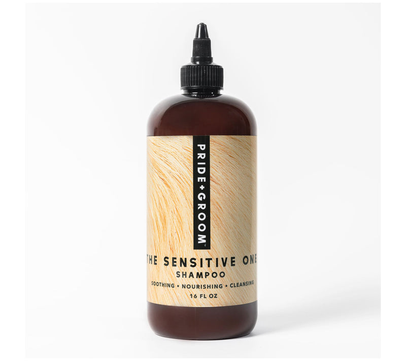 PRIDE+GROOM 16-oz Shampoo for Sensitive Dogs — Main view