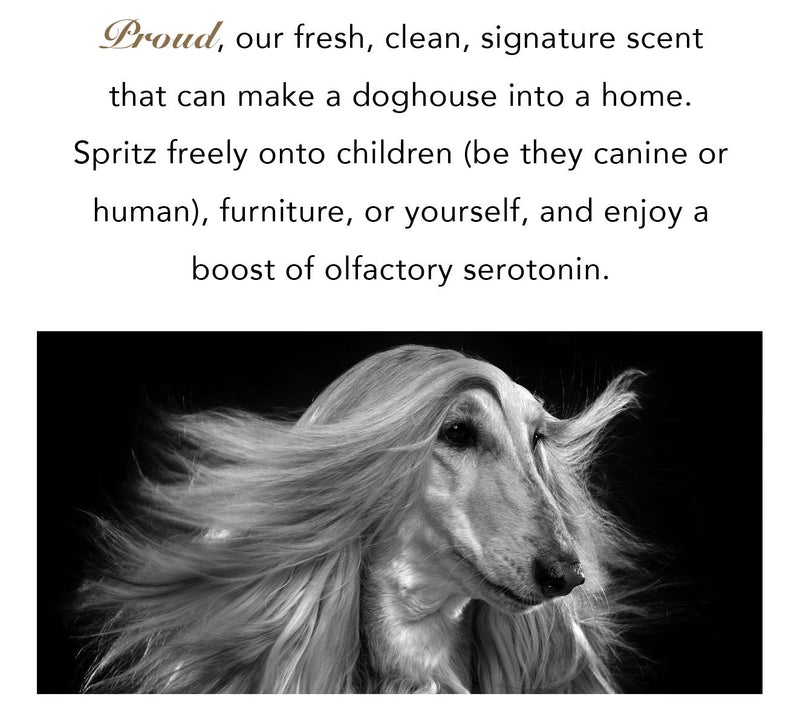 PRIDE+GROOM 16-oz Sensitive Dog Shampoo Deluxe Box Set — View 2