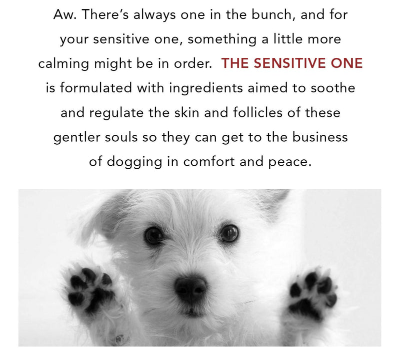 PRIDE+GROOM 16-oz Box Set for Sensitive Dogs — View 2