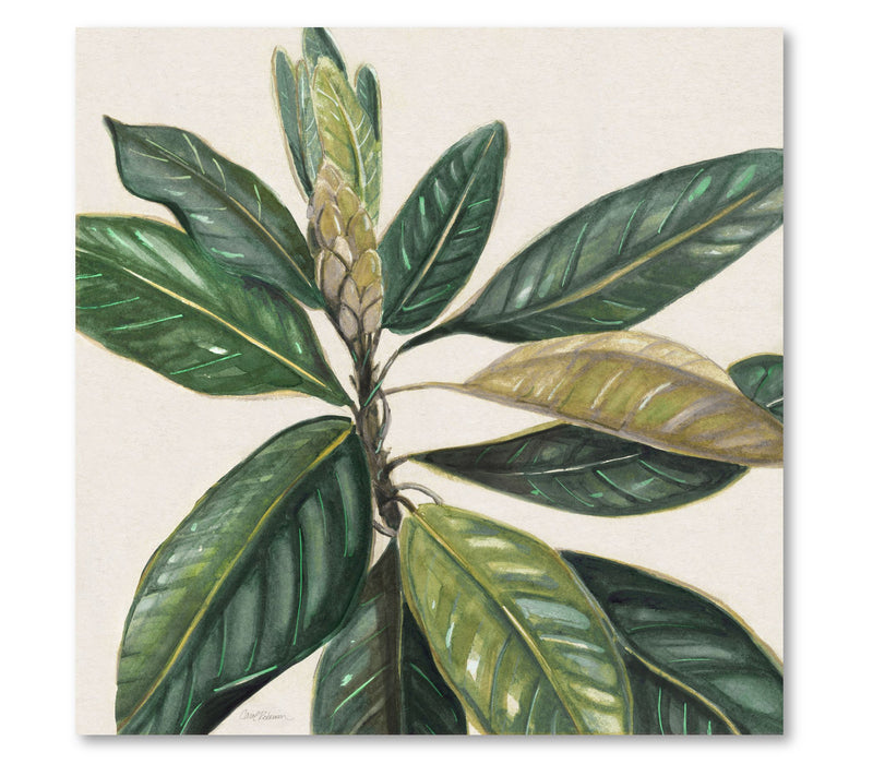 Courtside Market Magnolia Leaves II 16x16 Canvas Wall Art — Main view