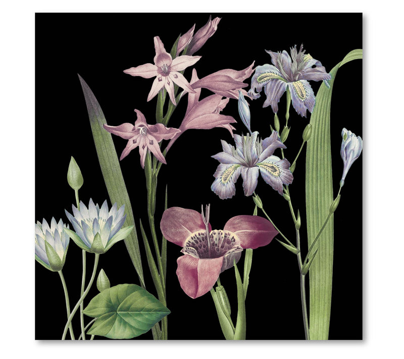 Courtside Market Dusty Plum Botanical II 16x16Canvas Wall Art — Main view