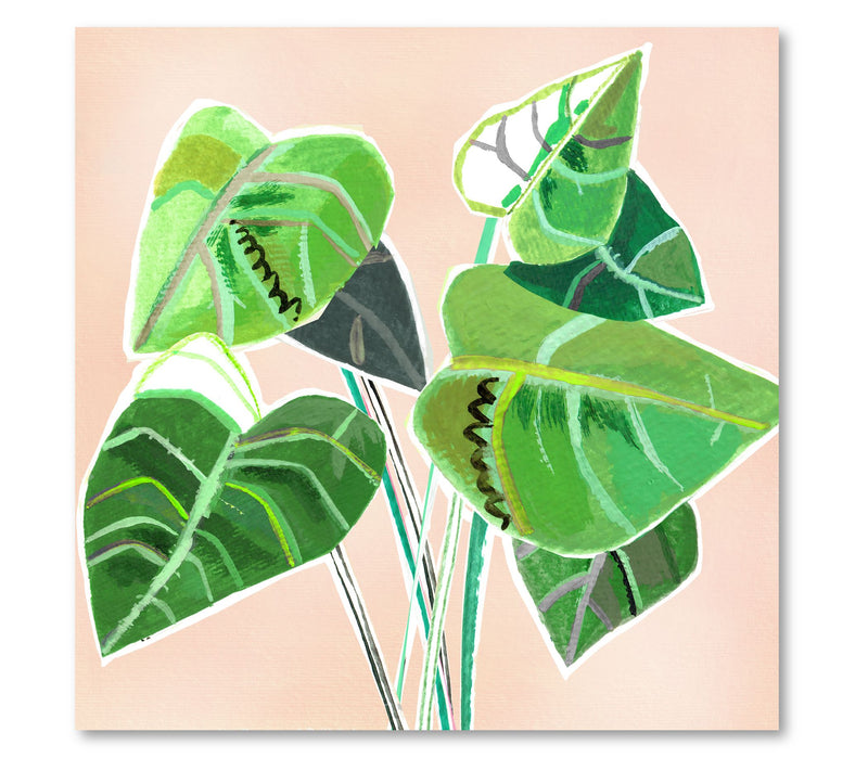 Courtside Market Abstract Elephant Ear 16x16 Canvas Wall Art — View 2