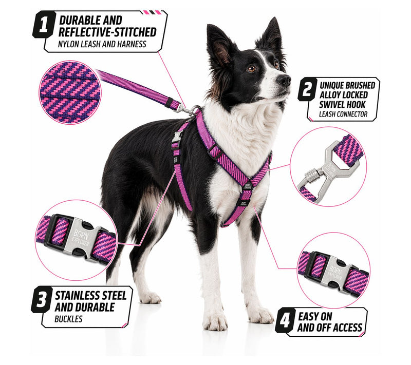 Pet Life 'Escapade' Outdoor Series 2-in-1 Dog Lsh & Harness — View 16