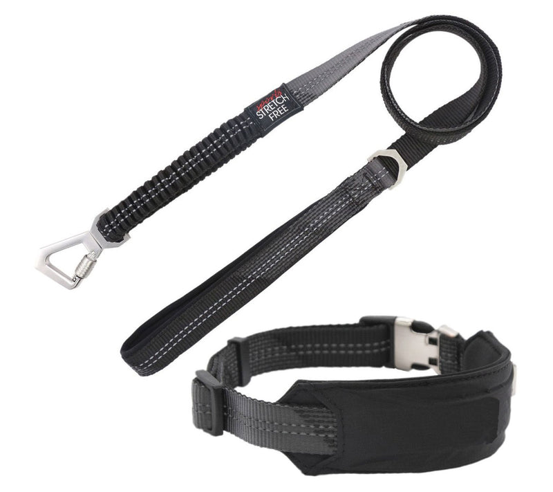 Pet Life 'Geo-prene' 2-in-1 Reflective Dog Leash and Collar — Main view