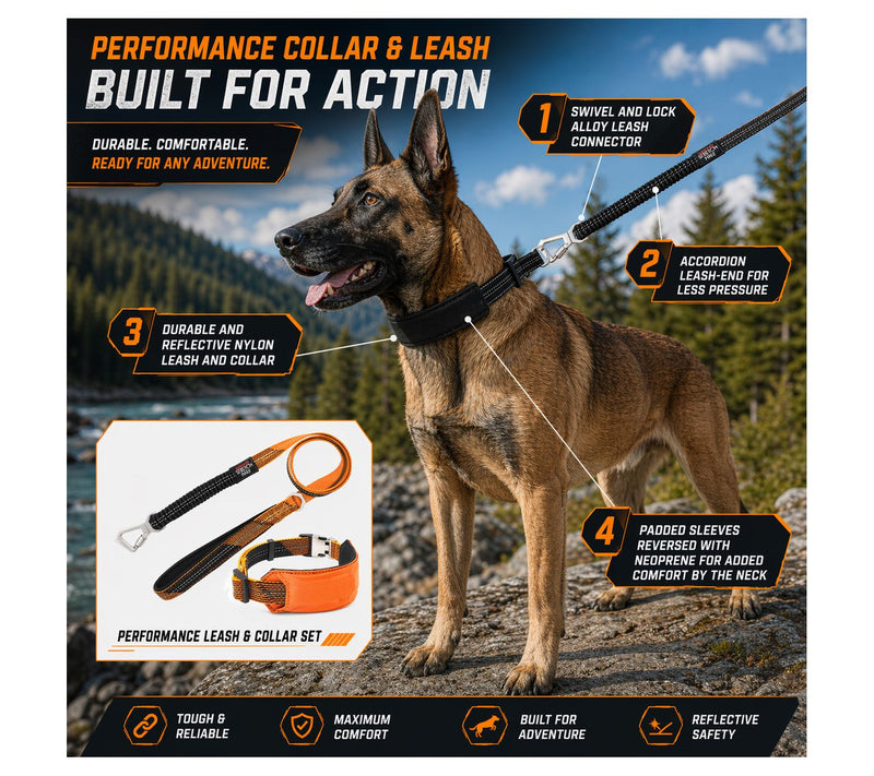 Pet Life 'Geo-prene' 2-in-1 Reflective Dog Leash and Collar — View 8