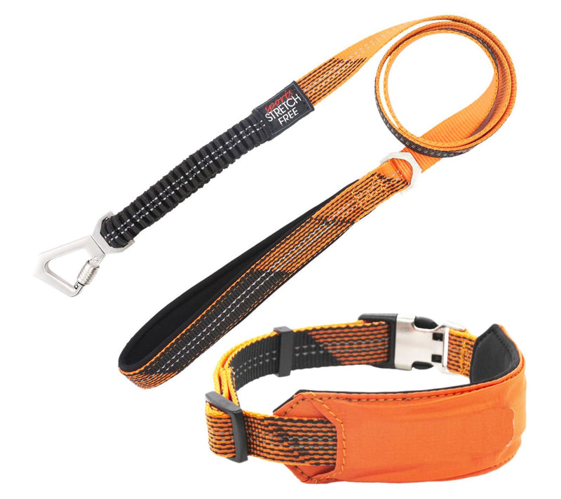 Pet Life 'Geo-prene' 2-in-1 Reflective Dog Leash and Collar — View 7