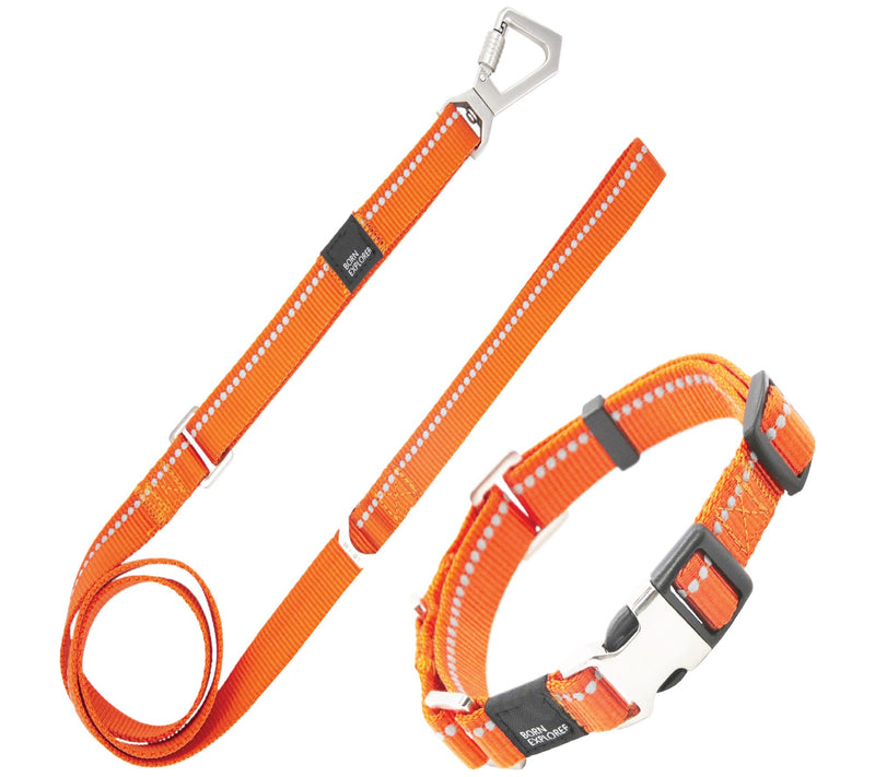 Pet Life 'Advent' 3M Reflective Training Dog Leash and Collar — View 5