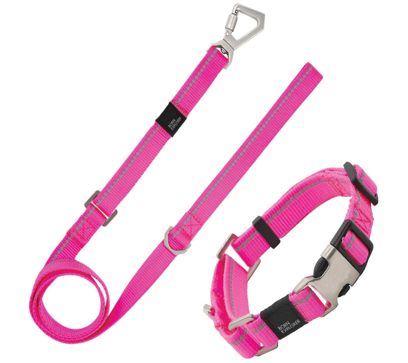 Pet Life 'Advent' 3M Reflective Training Dog Leash and Collar — View 7