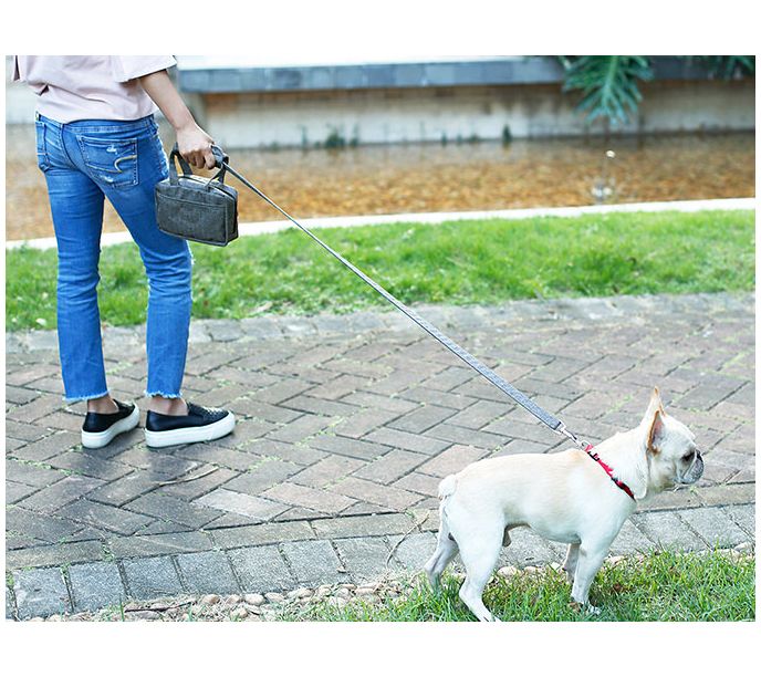Pet Life Posh Walk Purse Dog Leash and Waste Bag Dispenser — View 12