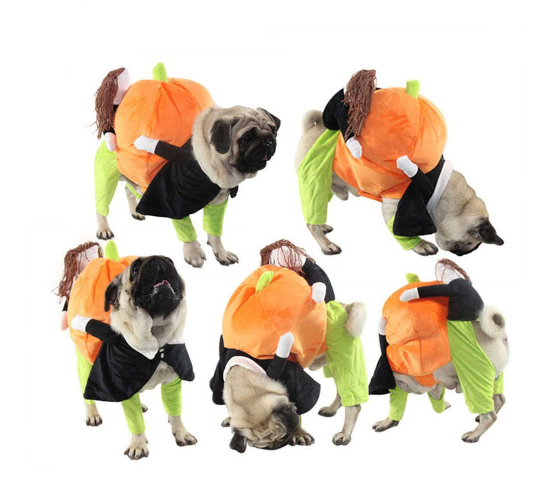 Pet Life 'Pumpkin Mon' Halloween Pet Dog Costume — View 2