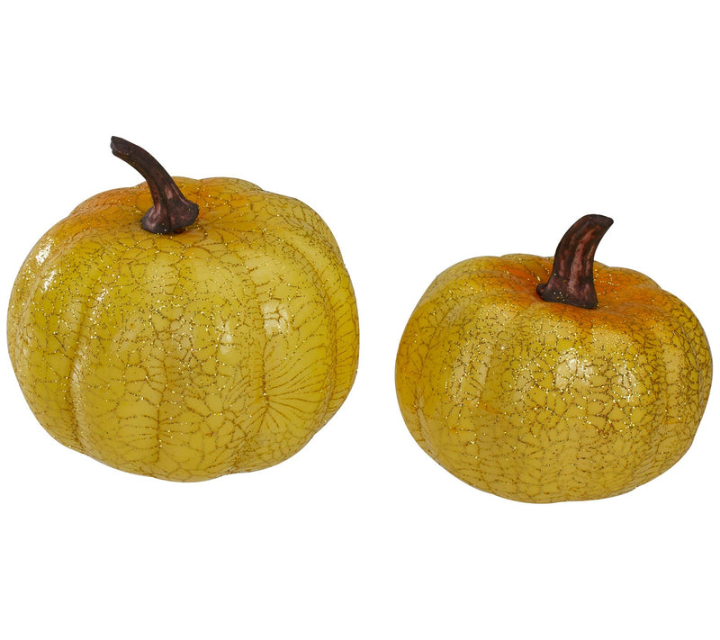 Northlight Decorative Colorful Pumpkin S/5 — View 5