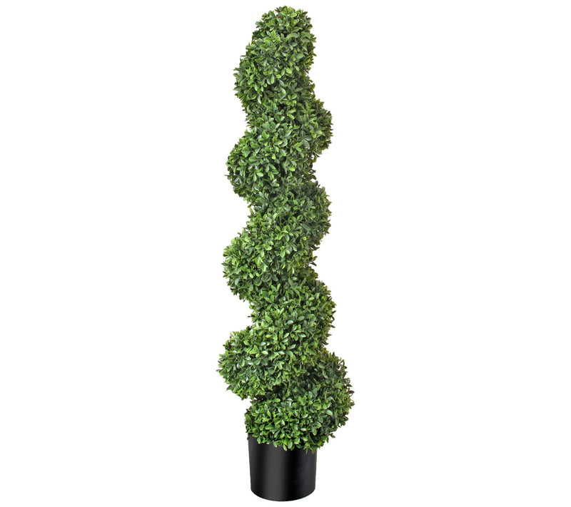 American Boxwood Spiral Topiary by Valerie — Main view