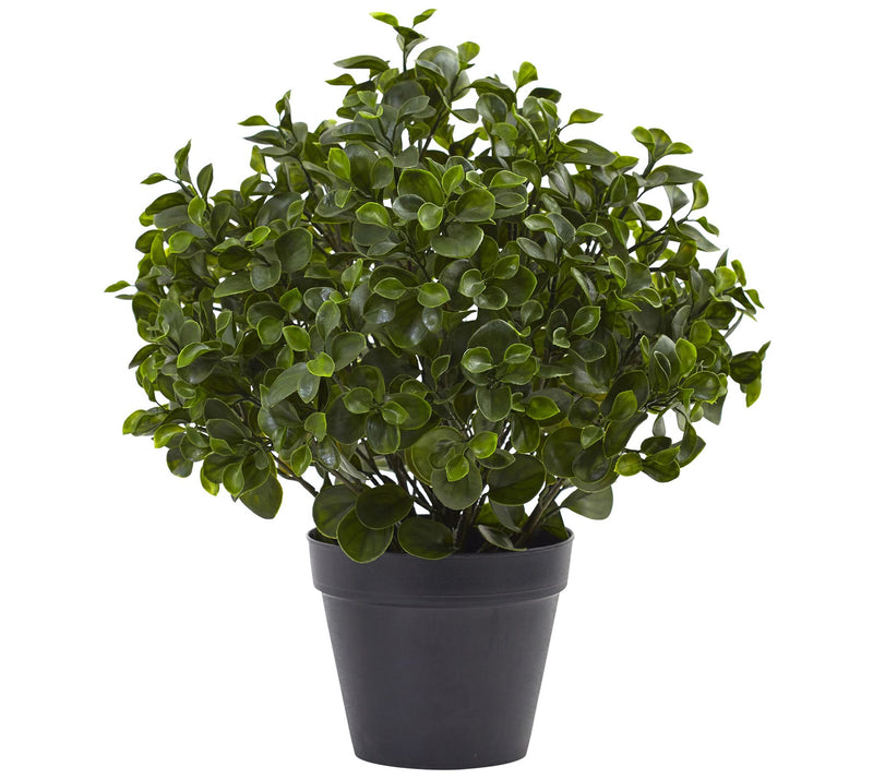 23" Peperomia Plant UV-Resistant by Nearly Natural — Main view