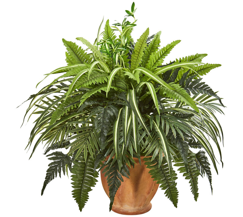 Mixed Greens/Fern Plant/Terra Cotta Planter byearly Natural — Main view
