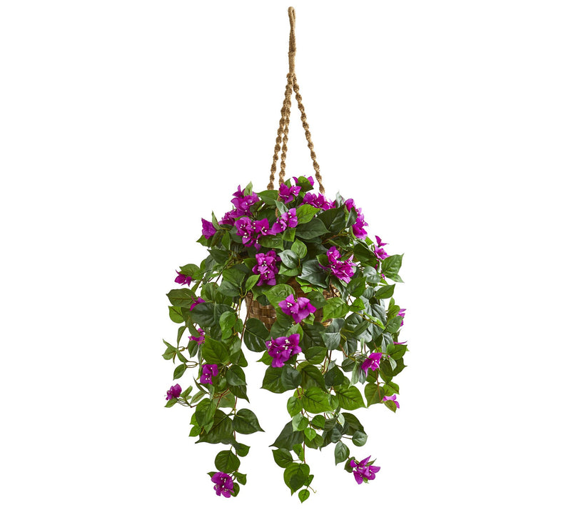 Bougainvillea Plant in Hanging Basket by NearlyNatural — Main view