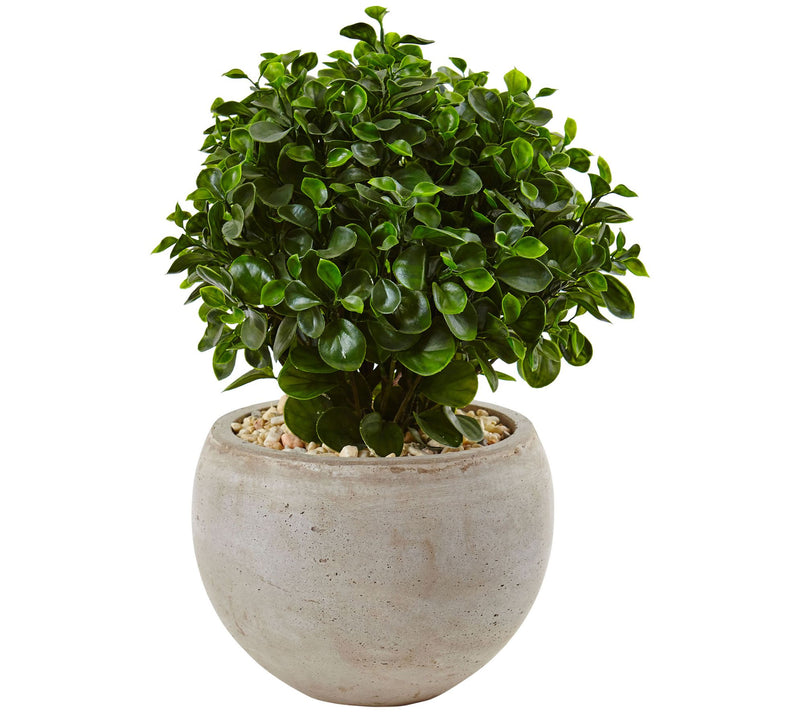 2' Eucalyptus in Bowl UV-Resistant by Nearly Natural — Main view