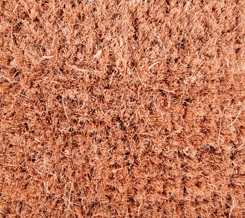 Design Imports Aloe There Doormat — View 4