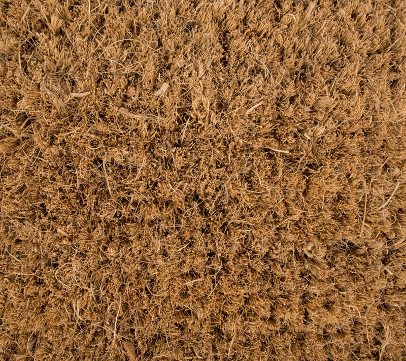 Design Imports Welcome To Our Neck Of The WoodsDoormat — View 4