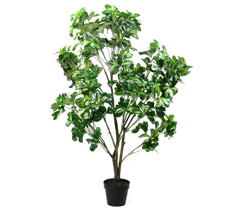 Northlight Potted Artificial Two Tone SchefferaPlant Tree — Main view