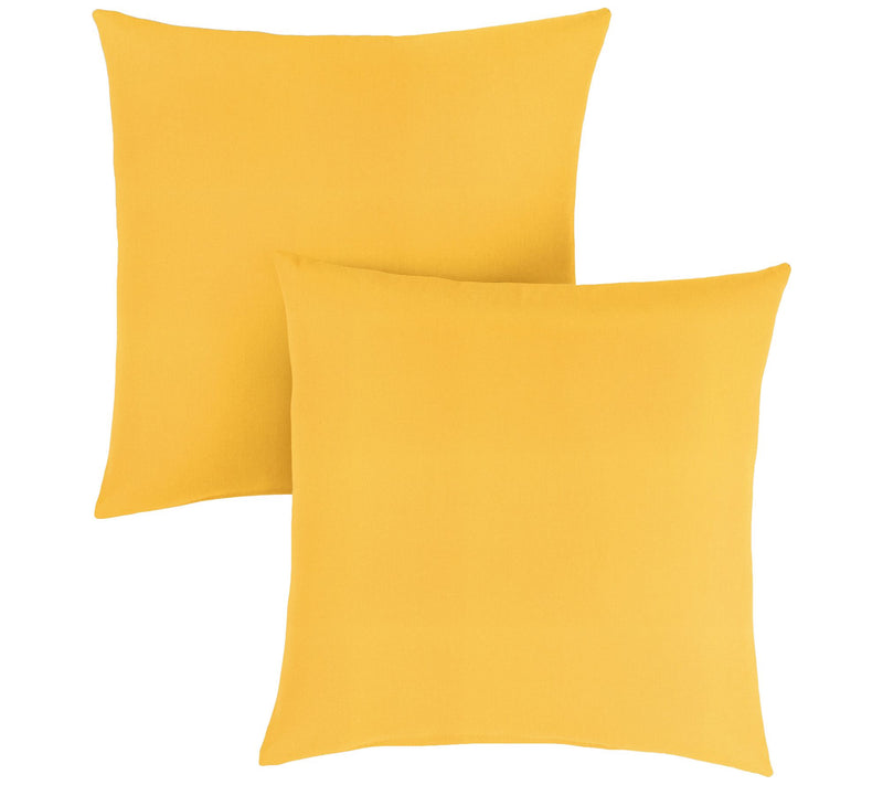 Set of 2 Sunbrella Indoor/Outdoor Pillows — Main view