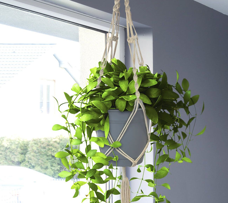 Sorbus Macrame Plant Hanger - 4-Pack — View 4