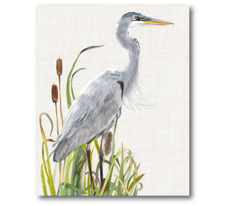 Courtside Market Waterbirds & Cattails I 16x20Canvas Wall Art — Main view