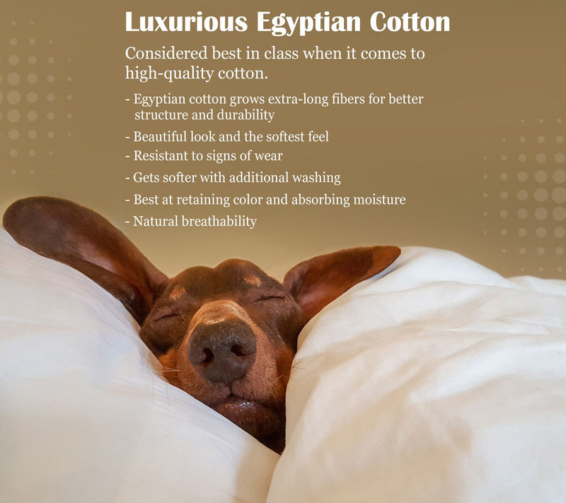 Superior 1200 T C Egyptian Cott on 4-Piece Sheet Set Full — View 33