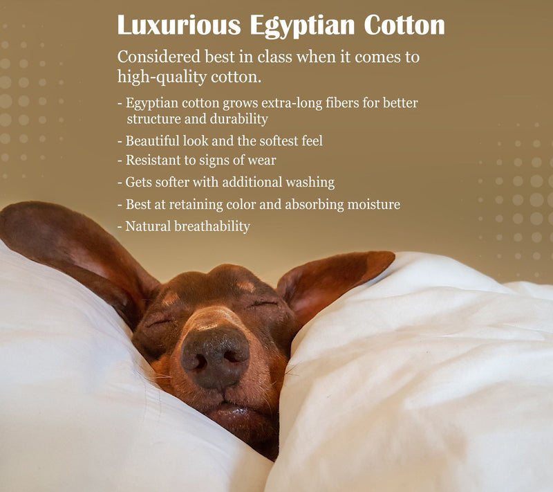 Superior 1200-TC Egyptian Cotton 4-Piece SheetSet King — View 33