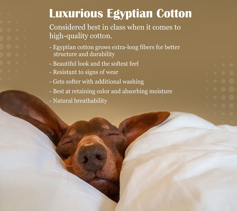 Superior 1200-TC Egyptian Cotton 4-Piece Queeneet Set — View 33