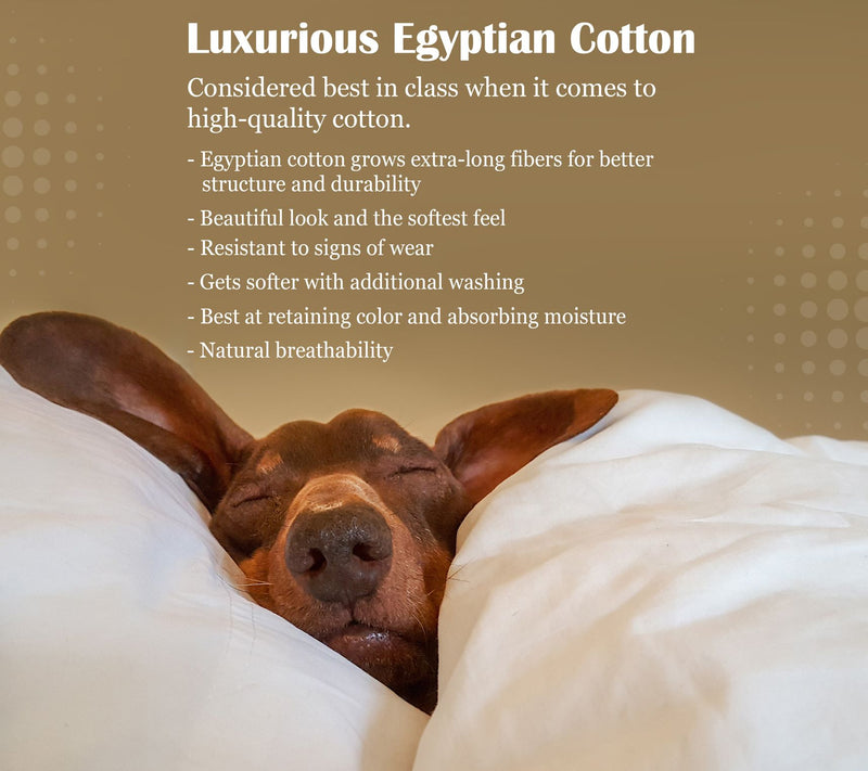 Superior 1500-TC Egyptian Cotton 4-Piece SheetCal King — View 29
