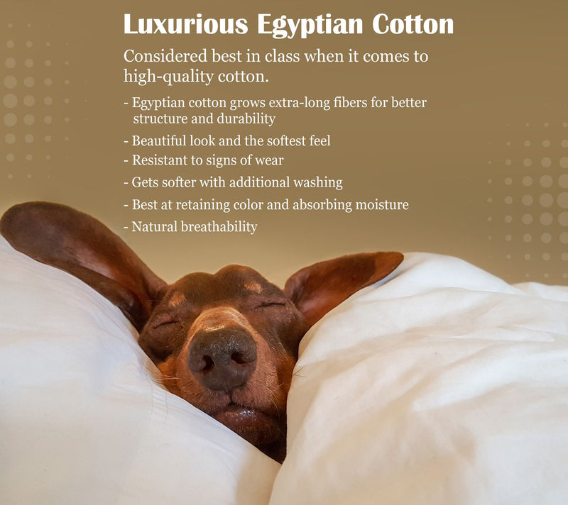 Superior Egyptian Cotton 1500 TC Deep Pocket Shet Set - Full — View 30