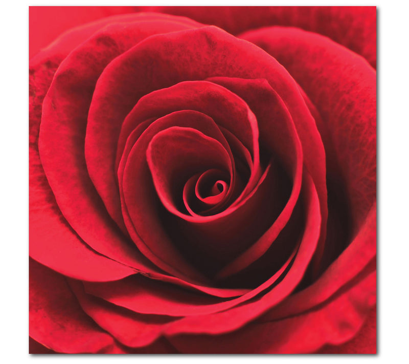 Courtside Market Romantic Rose 16 x 16 Canvas Wall Art — Main view