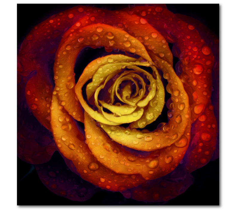 Courtside Market Bright Wet Rose 16 x 16 CanvasWall Art — Main view