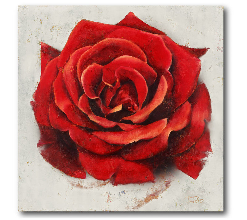 Courtside Market Romantic Rose 16x16 Canvas Wall Art — Main view