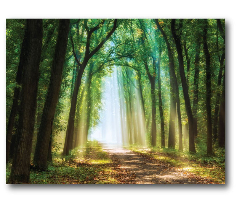 Courtside Market Enchanted Forest 11x14 CanvasWall Art — Main view
