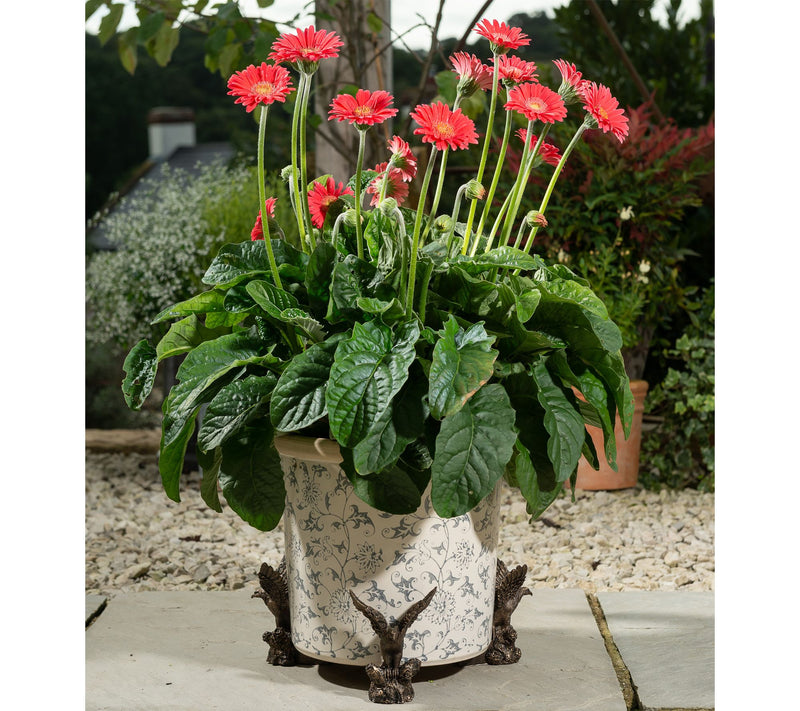 Jardinopia Potty Feet American Bald Eagle S/3Planter Feet — View 3