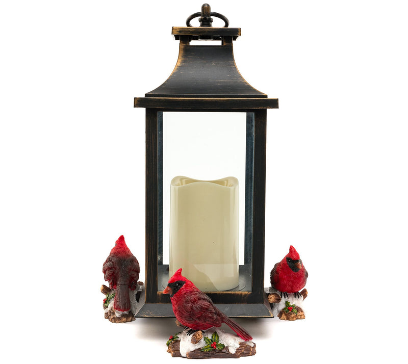 Jardinopia Potty Feet Red Cardinal Bird  S/3Planter Feet — View 4