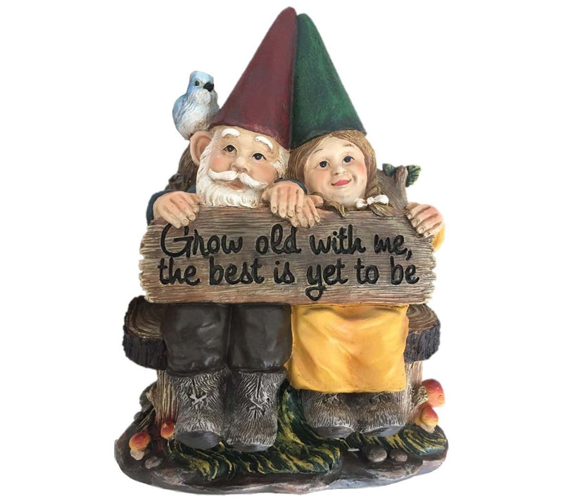 SWI 11" Grow old with me gnomes — Main view