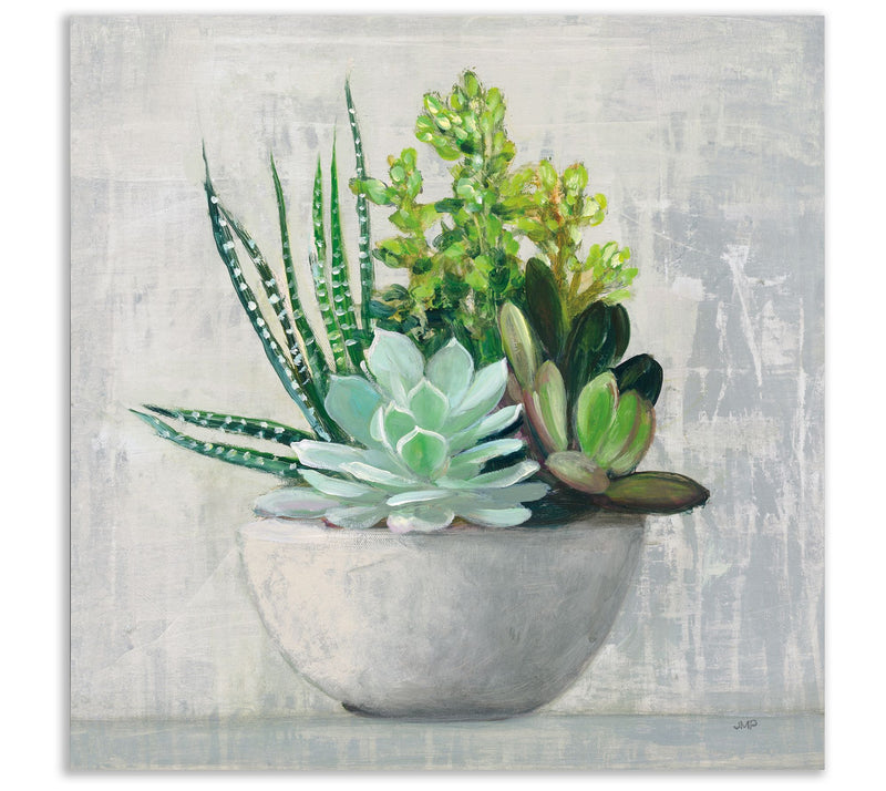 Courtside Market Succulent Still Life II 16x16Canvas Wall Art — Main view