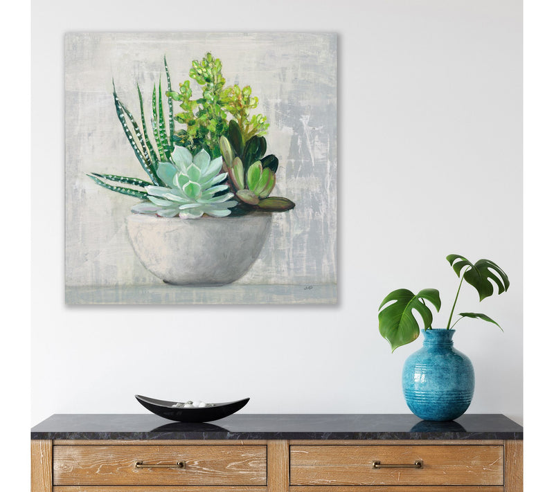 Courtside Market Succulent Still Life II 24x24Canvas Wall Art — View 2